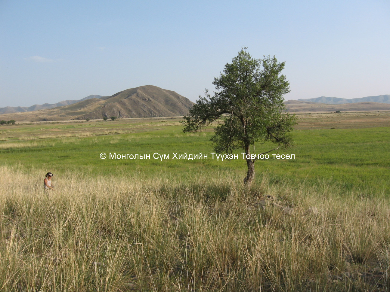 Хойд талаас авсан